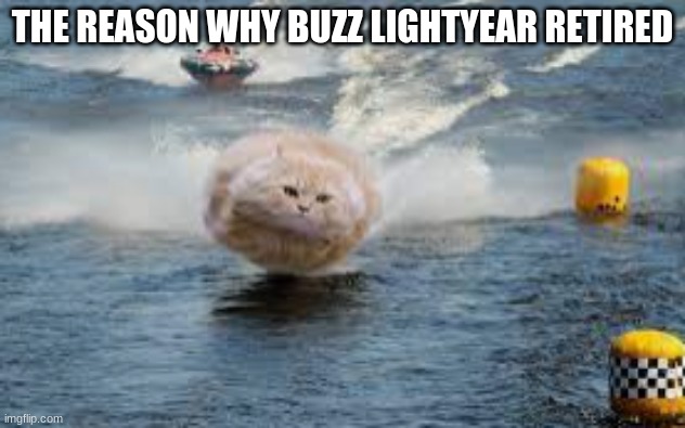 Hovercat | THE REASON WHY BUZZ LIGHTYEAR RETIRED | image tagged in cat | made w/ Imgflip meme maker