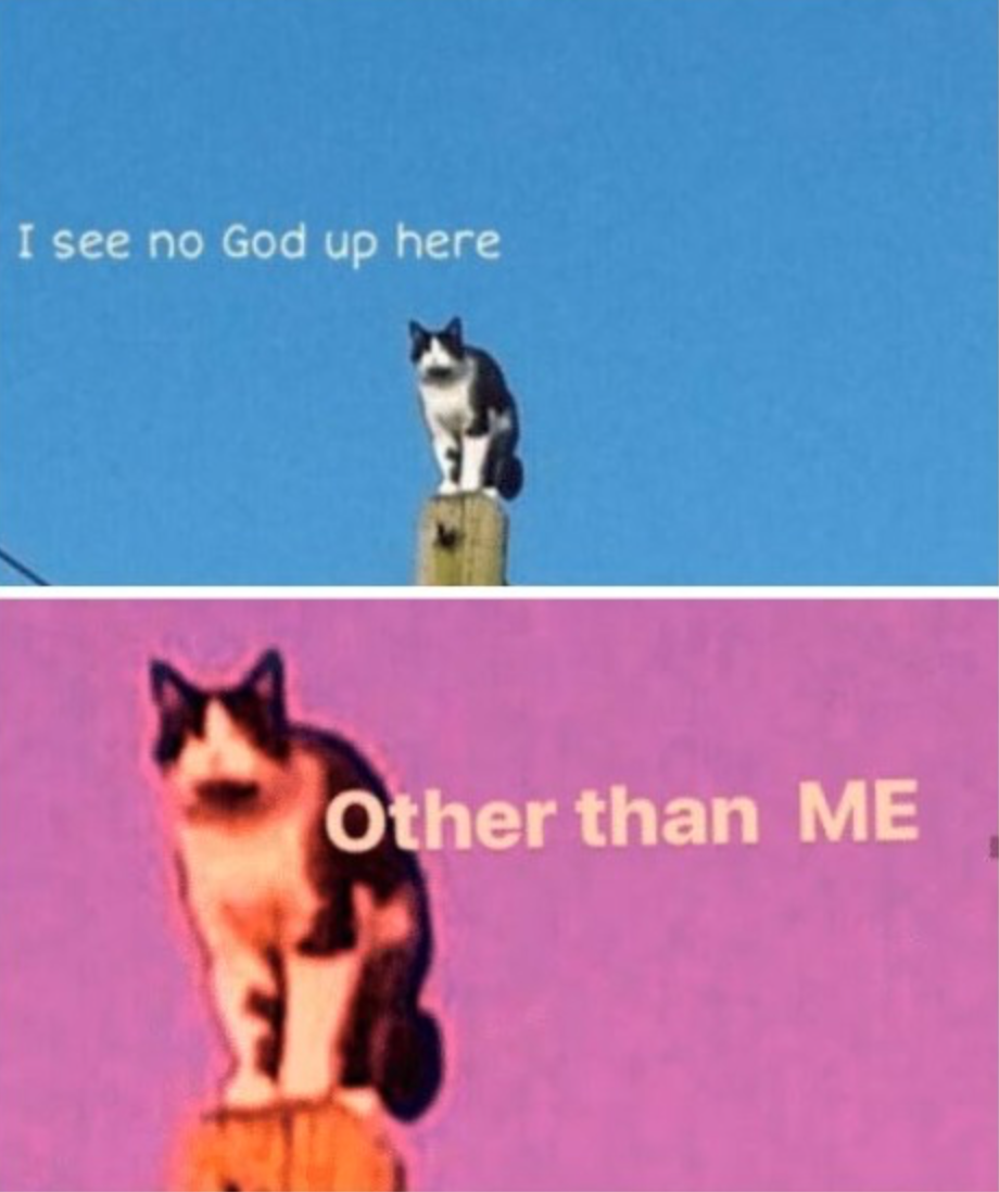 High Quality Cat God Blank Meme Template
