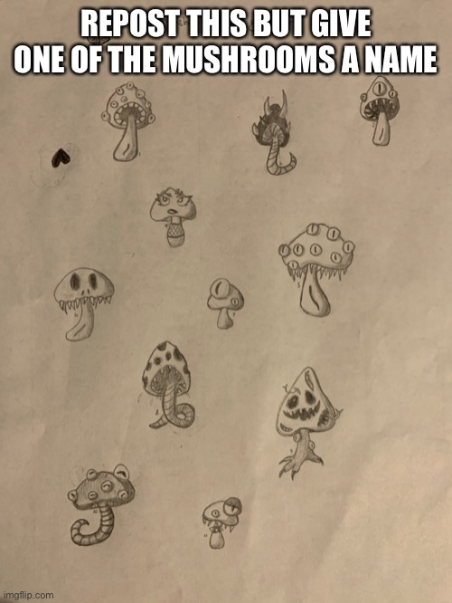 REPOST THIS BUT GIVE ONE OF THE MUSHROOMS A NAME | made w/ Imgflip meme maker