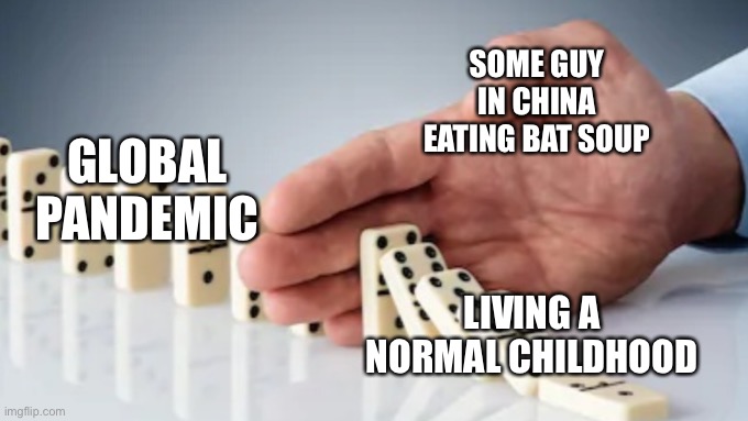 Why??? | SOME GUY IN CHINA EATING BAT SOUP; GLOBAL PANDEMIC; LIVING A NORMAL CHILDHOOD | image tagged in hand stopping dominoes,covid-19 | made w/ Imgflip meme maker
