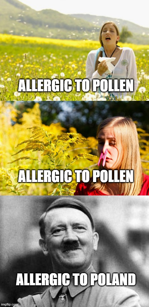 ALLERGY SEASON | ALLERGIC TO POLLEN; ALLERGIC TO POLLEN; ALLERGIC TO POLAND | image tagged in allergy,protection allergies,adolf hitler | made w/ Imgflip meme maker