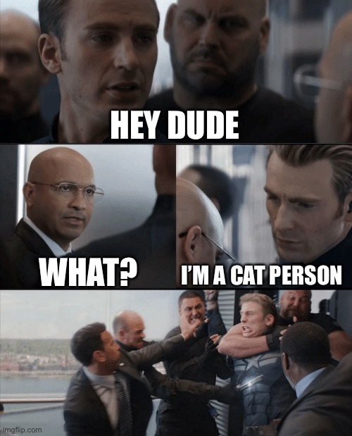 Ye | HEY DUDE; WHAT? I’M A CAT PERSON | image tagged in captain america elevator fight,violence | made w/ Imgflip meme maker