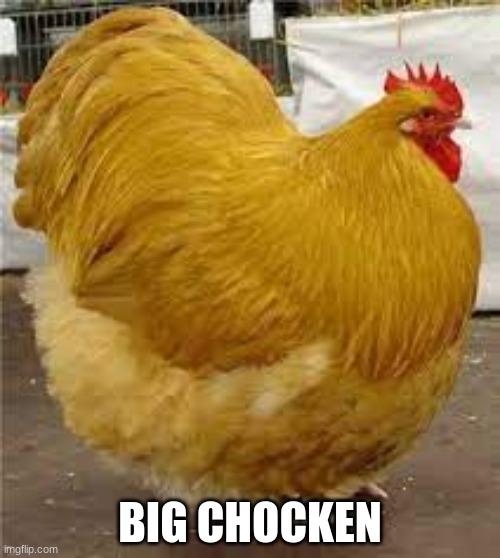 ChIcKeN nUgGiEs | BIG CHOCKEN | image tagged in chicken nuggets | made w/ Imgflip meme maker