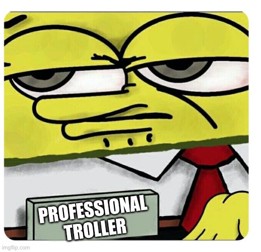 Me: | PROFESSIONAL TROLLER | image tagged in spongebob empty professional name tag | made w/ Imgflip meme maker