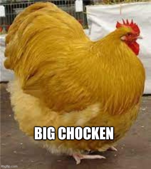 cHicKeN nUgGiEs | BIG CHOCKEN | image tagged in chicken,chicken nuggets | made w/ Imgflip meme maker