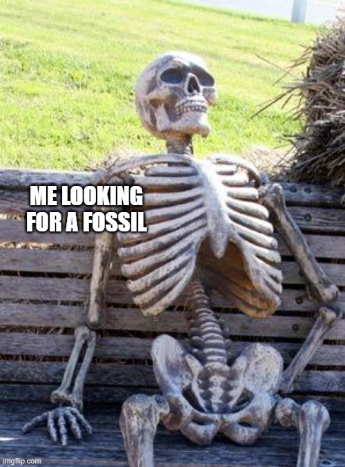 Paleo meme | ME LOOKING FOR A FOSSIL | image tagged in memes,waiting skeleton | made w/ Imgflip meme maker