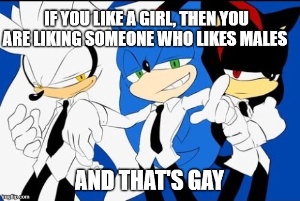 The boyss | IF YOU LIKE A GIRL, THEN YOU ARE LIKING SOMEONE WHO LIKES MALES; AND THAT'S GAY | image tagged in sonic,me and the boys | made w/ Imgflip meme maker