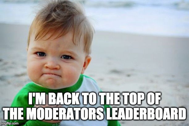 It's ranked by who made the most moderations in the last 30 days. | I'M BACK TO THE TOP OF THE MODERATORS LEADERBOARD | image tagged in memes,success kid original | made w/ Imgflip meme maker
