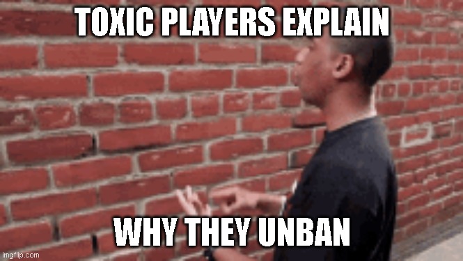 toxic players explaining why they unban | TOXIC PLAYERS EXPLAIN; WHY THEY UNBAN | image tagged in toxic,unban | made w/ Imgflip meme maker