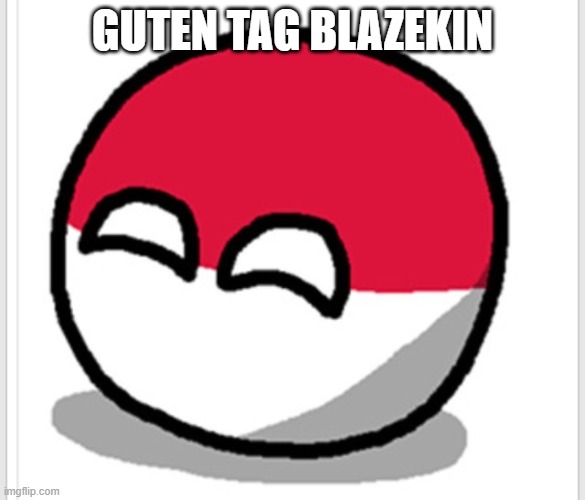 hi | GUTEN TAG BLAZEKIN | image tagged in polandball happy face | made w/ Imgflip meme maker