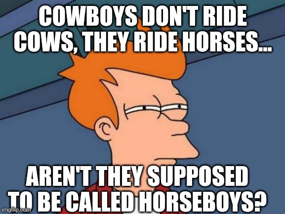 Why though? | COWBOYS DON'T RIDE COWS, THEY RIDE HORSES... AREN'T THEY SUPPOSED TO BE CALLED HORSEBOYS? | image tagged in memes,futurama fry | made w/ Imgflip meme maker