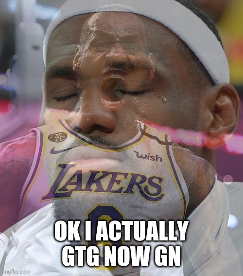 Crying LeBron James | OK I ACTUALLY GTG NOW GN | image tagged in crying lebron james | made w/ Imgflip meme maker