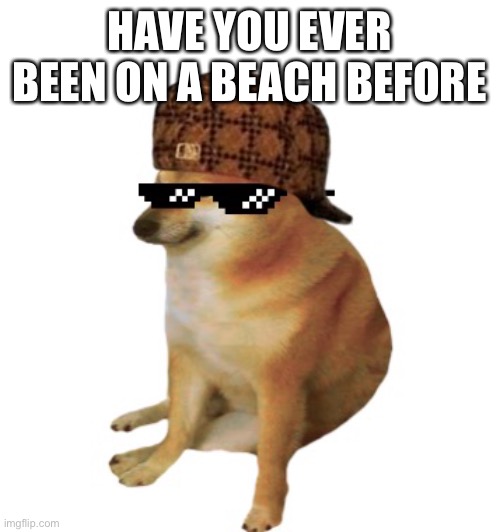 Epic cheems. | HAVE YOU EVER BEEN ON A BEACH BEFORE | image tagged in epic cheems | made w/ Imgflip meme maker