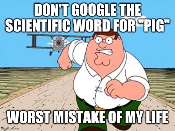 Peter griffin running away for a plane | DON'T GOOGLE THE SCIENTIFIC WORD FOR "PIG"; WORST MISTAKE OF MY LIFE | image tagged in peter griffin running away for a plane | made w/ Imgflip meme maker