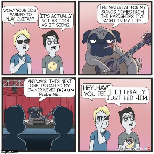 Life of a pug | FREAKIN | image tagged in comics,unfunny | made w/ Imgflip meme maker