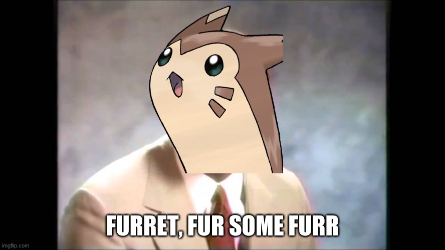 Stop it get some help | FURRET, FUR SOME FURR | image tagged in stop it get some help | made w/ Imgflip meme maker