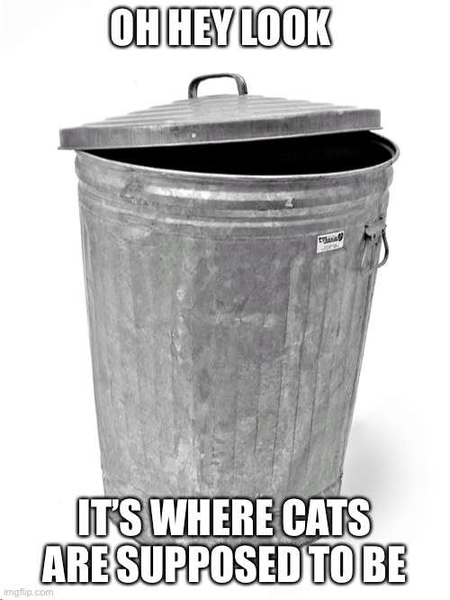 Trash Can | OH HEY LOOK; IT’S WHERE CATS ARE SUPPOSED TO BE | image tagged in trash can | made w/ Imgflip meme maker