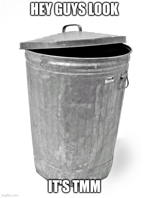 Trash Can | HEY GUYS LOOK; IT'S TMM | image tagged in trash can | made w/ Imgflip meme maker