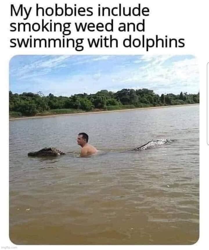 Ah yes, an amazing pastime | image tagged in smoking weed and swimming with dolphins | made w/ Imgflip meme maker