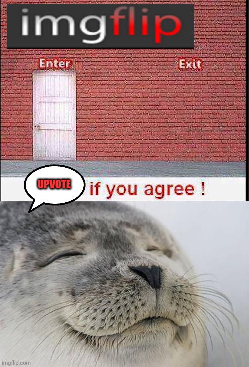 I hope it is an enjoyable meme | UPVOTE | image tagged in memes,satisfied seal | made w/ Imgflip meme maker