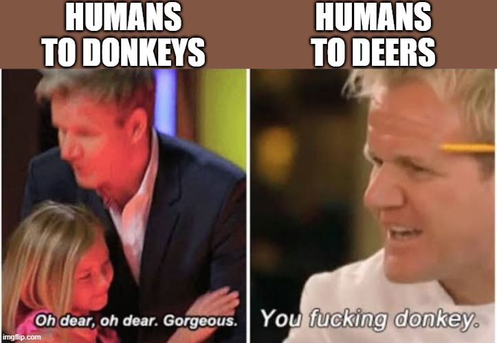 Especially whenever it freezes when it is about to get run over |  HUMANS TO DONKEYS; HUMANS TO DEERS | image tagged in gordon ramsay kids vs adults | made w/ Imgflip meme maker