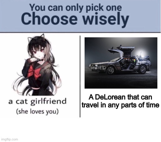 Would you rather give up a precious time machine for a cute waifu? Or would you do the opposite? The choice is up to you. |  A DeLorean that can travel in any parts of time | image tagged in choose wisely | made w/ Imgflip meme maker