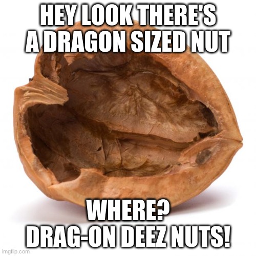 Deez Nuts In A Nutshell Meme | HEY LOOK THERE'S A DRAGON SIZED NUT; WHERE?

DRAG-ON DEEZ NUTS! | image tagged in nutshell | made w/ Imgflip meme maker