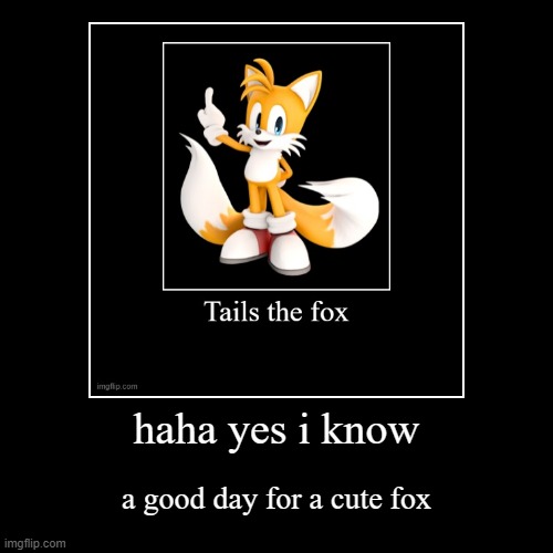 i love it | image tagged in funny,demotivationals,tails the fox,tails | made w/ Imgflip demotivational maker