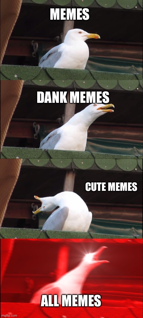 Inhaling Seagull | MEMES; DANK MEMES; CUTE MEMES; ALL MEMES | image tagged in memes,inhaling seagull | made w/ Imgflip meme maker