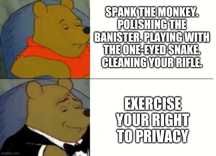 Fancy Winnie The Pooh Meme | SPANK THE MONKEY. POLISHING THE BANISTER. PLAYING WITH THE ONE-EYED SNAKE. CLEANING YOUR RIFLE. EXERCISE YOUR RIGHT TO PRIVACY | image tagged in fancy winnie the pooh meme | made w/ Imgflip meme maker