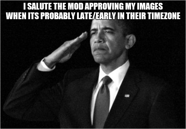 obama-salute | I SALUTE THE MOD APPROVING MY IMAGES WHEN ITS PROBABLY LATE/EARLY IN THEIR TIMEZONE | image tagged in obama-salute | made w/ Imgflip meme maker