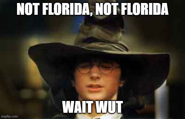 Harry Potter sorting hat | NOT FLORIDA, NOT FLORIDA; WAIT WUT | image tagged in harry potter sorting hat | made w/ Imgflip meme maker