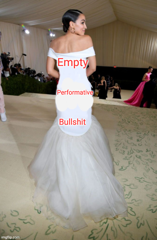 I'm about sick of her.  She just soaks up time and attention and never does anything. |  Empty; Performative; Bullshit | image tagged in aoc dress | made w/ Imgflip meme maker