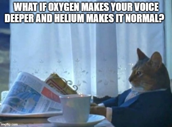I Should Buy A Boat Cat Meme | WHAT IF OXYGEN MAKES YOUR VOICE DEEPER AND HELIUM MAKES IT NORMAL? | image tagged in memes,i should buy a boat cat | made w/ Imgflip meme maker