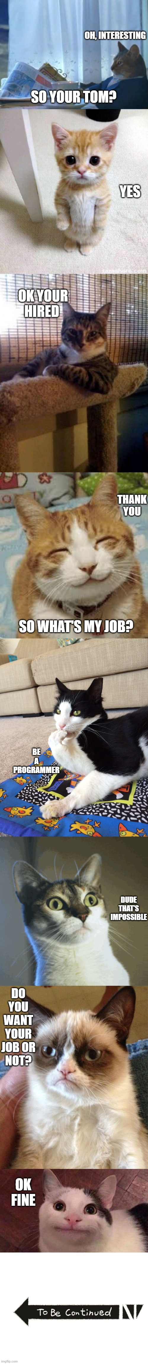 cat get hired | OH, INTERESTING; SO YOUR TOM? YES; OK YOUR HIRED; THANK YOU; SO WHAT'S MY JOB? BE A PROGRAMMER; DUDE THAT'S IMPOSSIBLE; DO YOU WANT YOUR JOB OR NOT? OK FINE | image tagged in memes,story meme,programmer | made w/ Imgflip meme maker