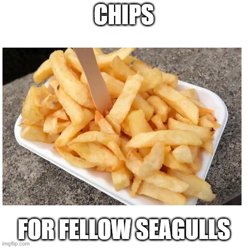 (comment pictures of seagulls | CHIPS; FOR FELLOW SEAGULLS | image tagged in seagull,chips,food | made w/ Imgflip meme maker