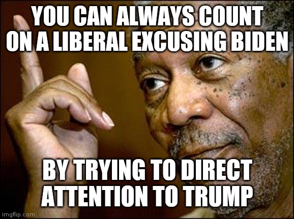 This Morgan Freeman | YOU CAN ALWAYS COUNT ON A LIBERAL EXCUSING BIDEN BY TRYING TO DIRECT ATTENTION TO TRUMP | image tagged in this morgan freeman | made w/ Imgflip meme maker