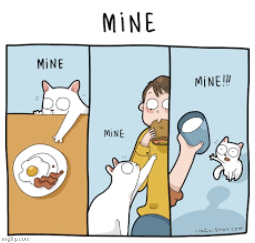 A Cat's way Of Thimking | image tagged in memes,comics,cats,see,food,mine | made w/ Imgflip meme maker