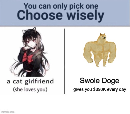 Choose wisely |  Swole Doge; gives you $890K every day | image tagged in choose wisely | made w/ Imgflip meme maker