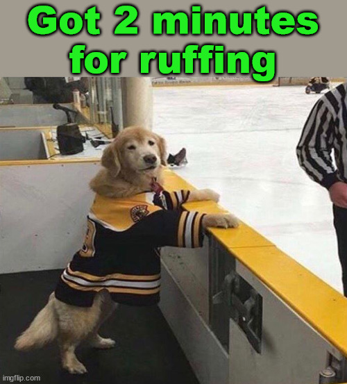 Got 2 minutes for ruffing | image tagged in eyeroll | made w/ Imgflip meme maker