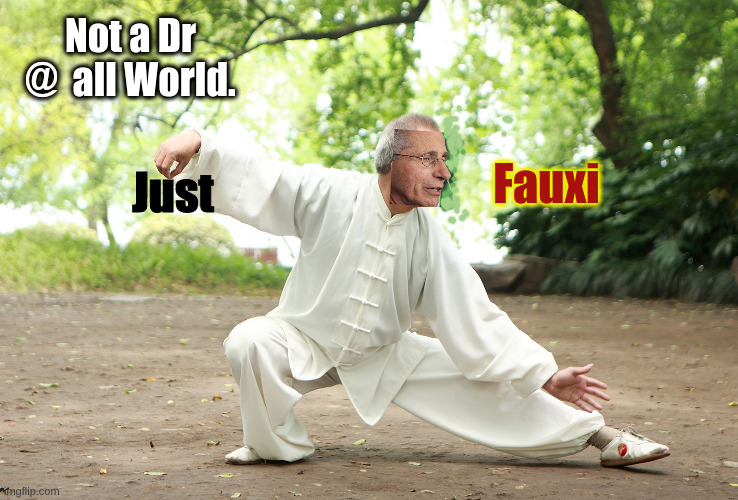 Not a Dr @  all World. Fauxi; Just | image tagged in dr fauci,uk,usa,political meme,covid 19,america | made w/ Imgflip meme maker