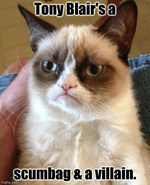 Grumpy Cat | Tony Blair's a; scumbag & a villain. | image tagged in memes,grumpy cat,parliament,politicians,tony blair,labour party | made w/ Imgflip meme maker