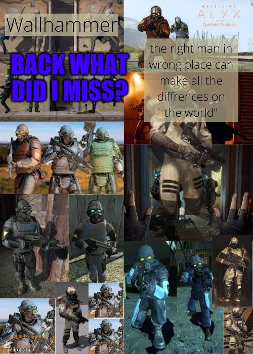 BACK WHAT DID I MISS? | image tagged in wallhammer | made w/ Imgflip meme maker