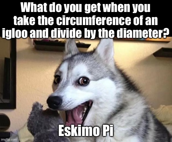 igloo | What do you get when you take the circumference of an igloo and divide by the diameter? Eskimo Pi | image tagged in pun dog - husky | made w/ Imgflip meme maker