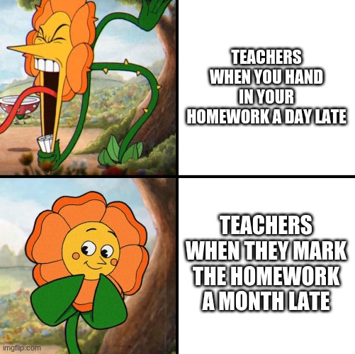 angry flower | TEACHERS WHEN YOU HAND IN YOUR HOMEWORK A DAY LATE; TEACHERS WHEN THEY MARK THE HOMEWORK A MONTH LATE | image tagged in angry flower | made w/ Imgflip meme maker