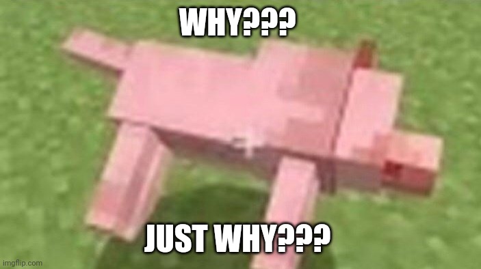 Who did it?? | WHY??? JUST WHY??? | image tagged in minecraft dog death | made w/ Imgflip meme maker