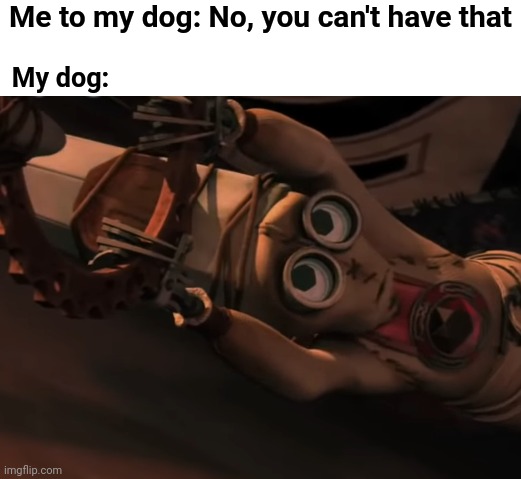 We need more 9 memes | Me to my dog: No, you can't have that; My dog: | image tagged in memes,relatable,dogs | made w/ Imgflip meme maker