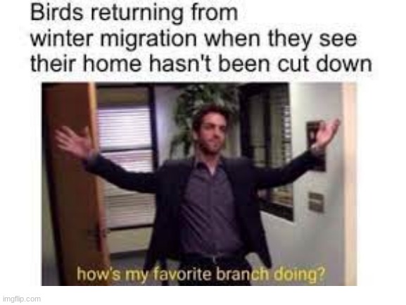 hehe | image tagged in funny | made w/ Imgflip meme maker