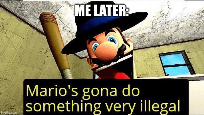 Mario’s gonna do something very illegal | ME LATER: | image tagged in mario s gonna do something very illegal | made w/ Imgflip meme maker