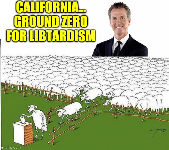 SHEEPLE | CALIFORNIA... GROUND ZERO FOR LIBTARDISM | image tagged in sheeple | made w/ Imgflip meme maker